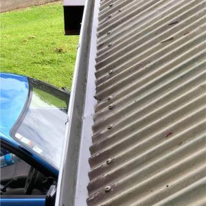 Gutter Cleaning in Durham, NC