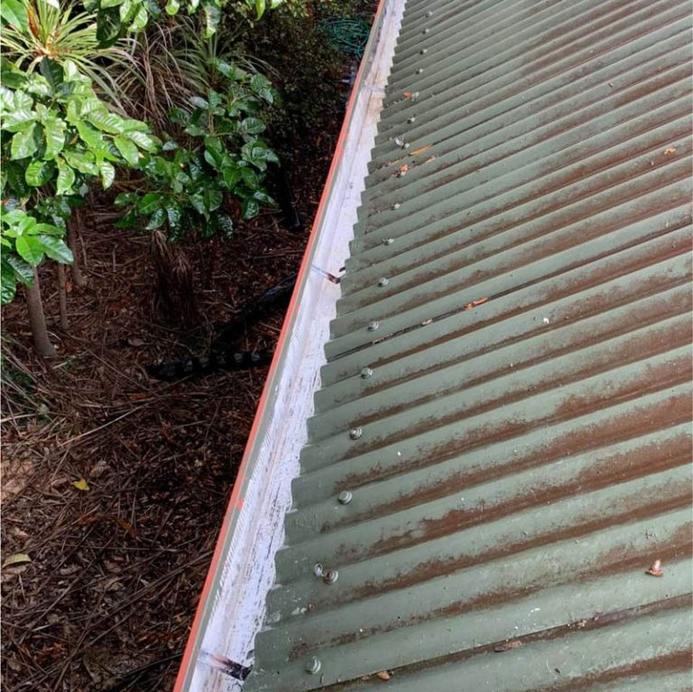 Gutter Cleaning in Apex NC