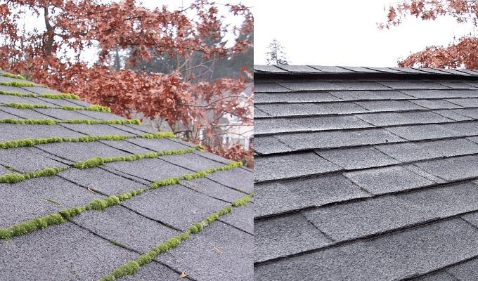 Roof Washing in Raleigh NC