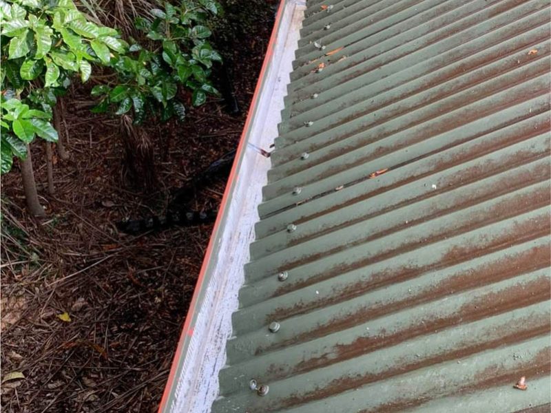 Gutter Cleaning in Apex NC